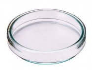 Чашка Петри DiaDent (Диадент), с делениями 12 секций