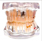 Модель демонстраційна зі знімними мостами HTS-C15